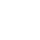 5555 icon