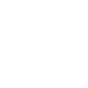 5555 icon