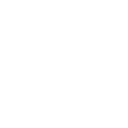 5555 icon