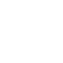 5555 icon