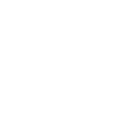 5555 icon